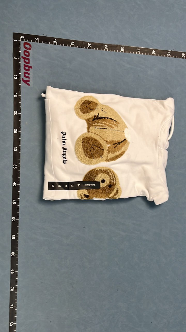 Palm Angels Bear Logo Hoodie and Sweatshirt Collection -4