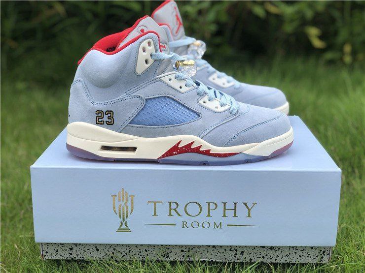 Air Jordan 5
